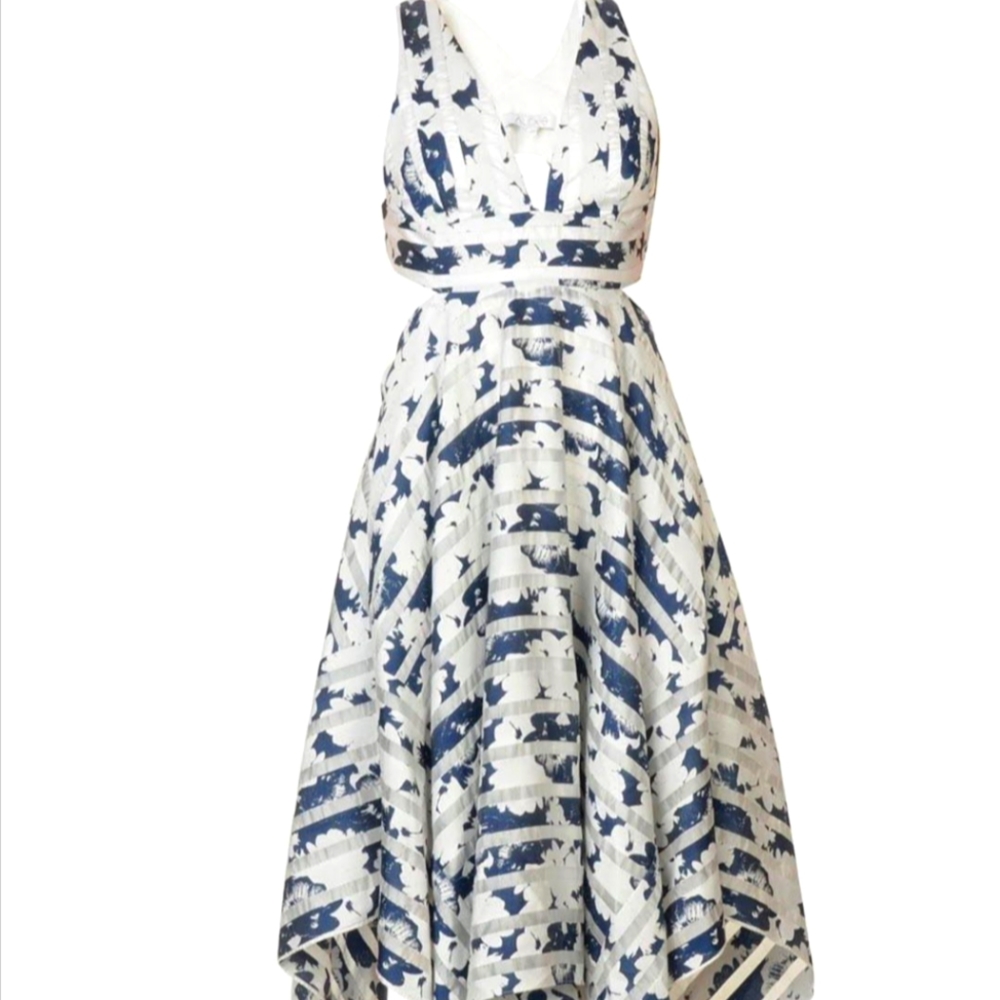ALEXIS xs Blue/White Dress